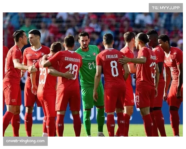 瑞士逆转爱尔兰 U17世界杯晋级之路稳健 瑞士逆转爱尔兰 U17世界杯晋级之路稳健